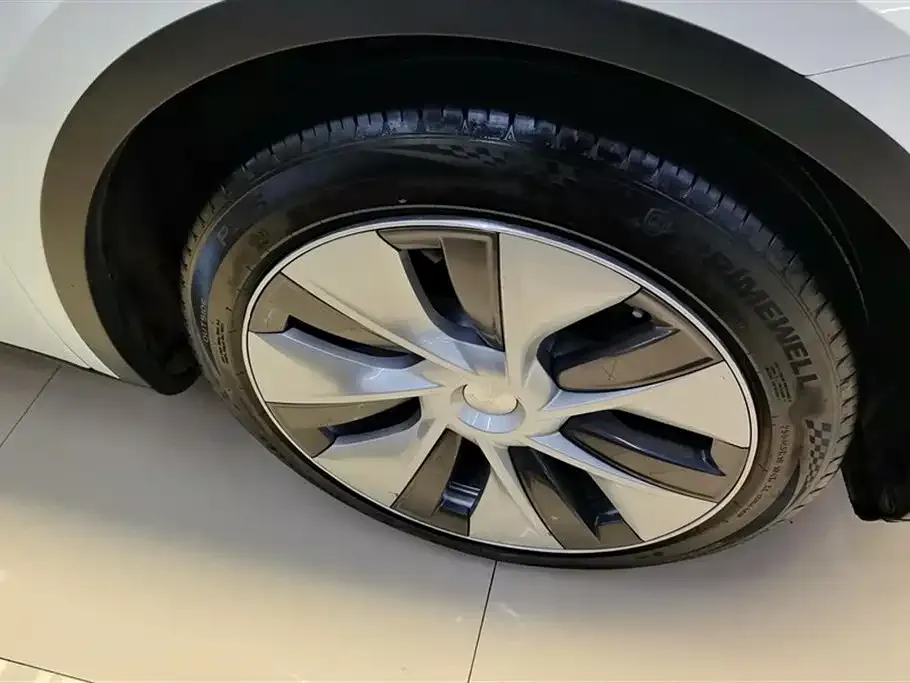 Tesla Model Y 2021 из CN, фото 6