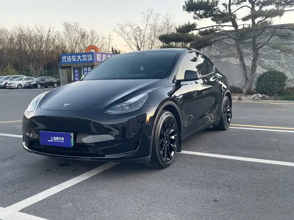 Tesla Model Y 2022 из CN, фото 1