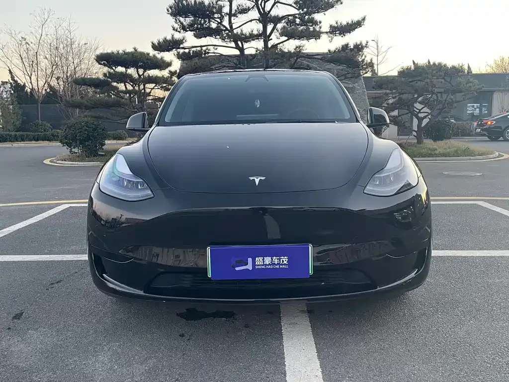 Tesla Model Y 2022 из CN, фото 2