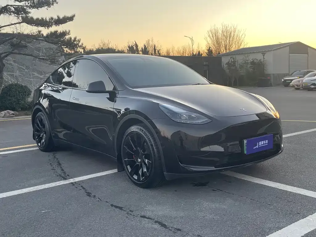 Tesla Model Y 2022 из CN, фото 3