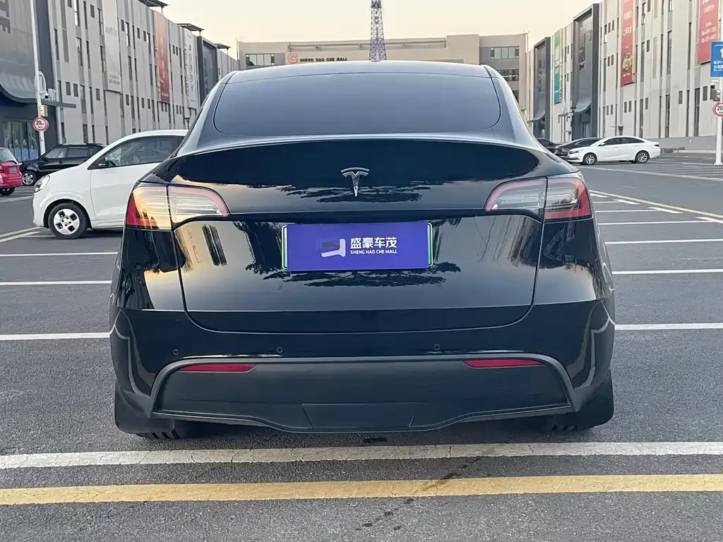 Tesla Model Y 2022 из CN, фото 8