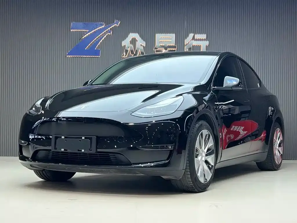 Tesla Model Y 2022 из CN, фото 1