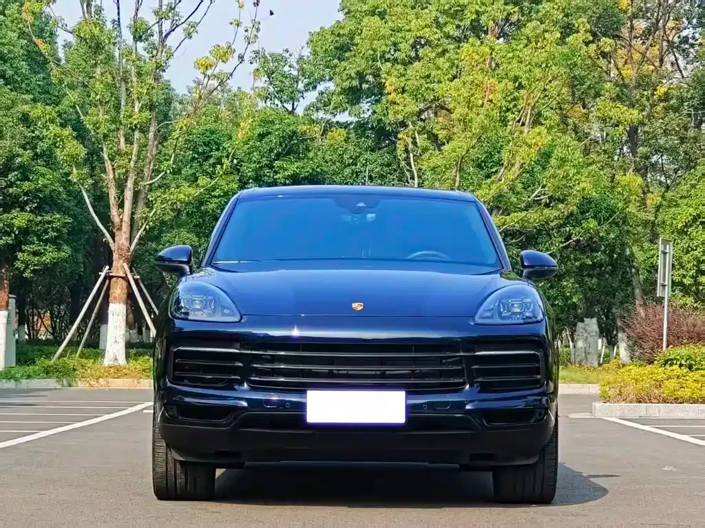 Porsche Cayenne 2022 из CN, фото 1