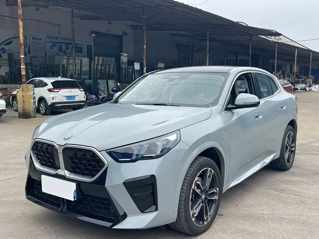 BMW X2 (Import) — фото 1