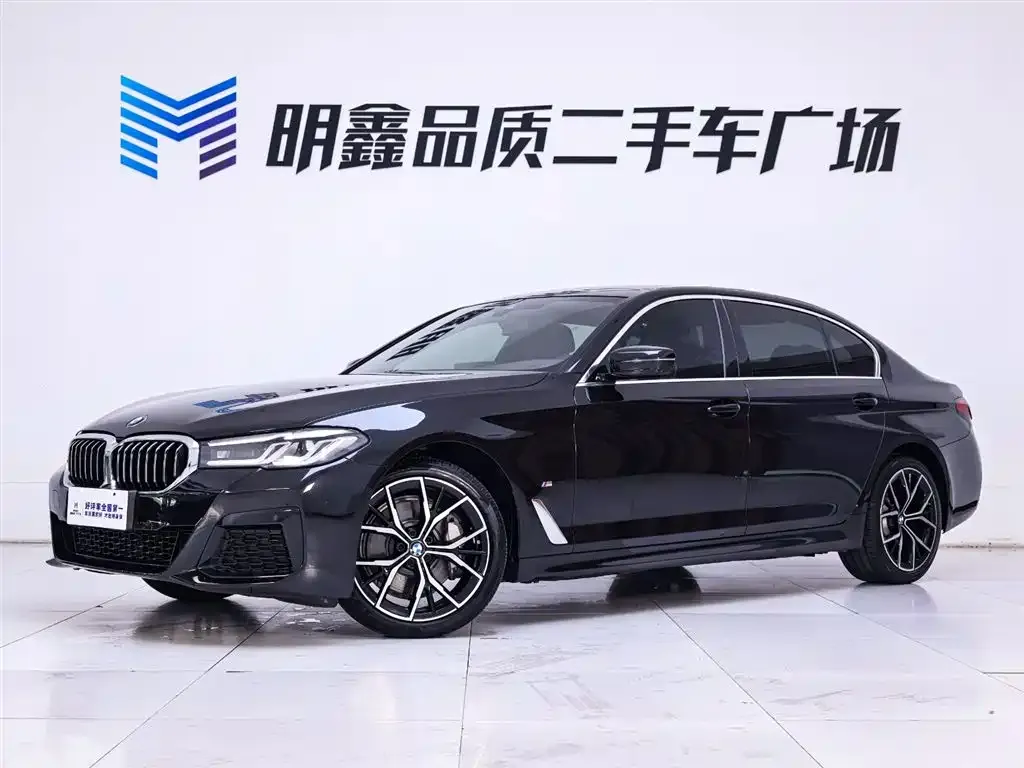 BMW 5 Series 2023 из CN, фото 2