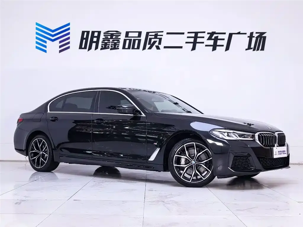 BMW 5 Series 2023 из CN, фото 5