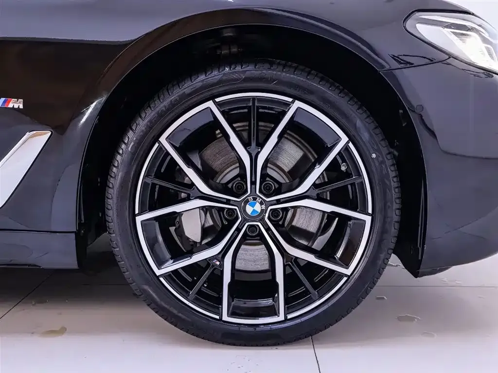 BMW 5 Series 2023 из CN, фото 6