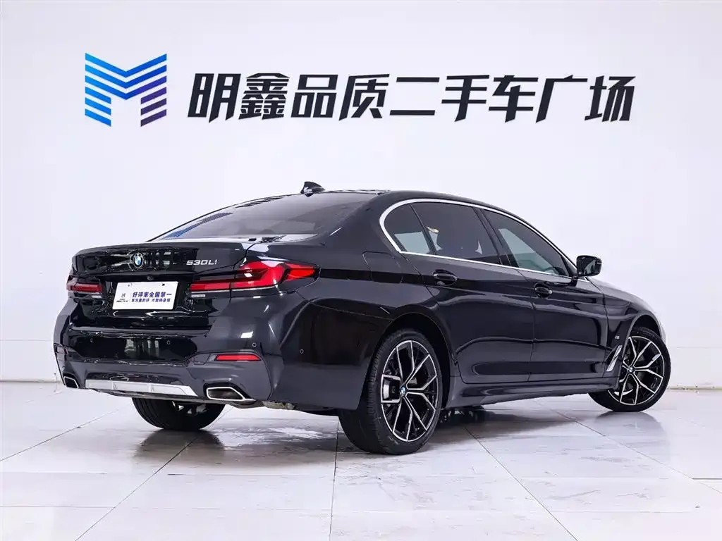BMW 5 Series 2023 из CN, фото 7