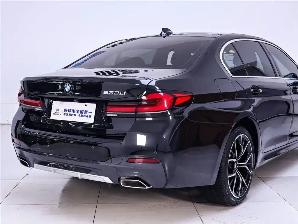 BMW 5 Series 2023 из CN, фото 8