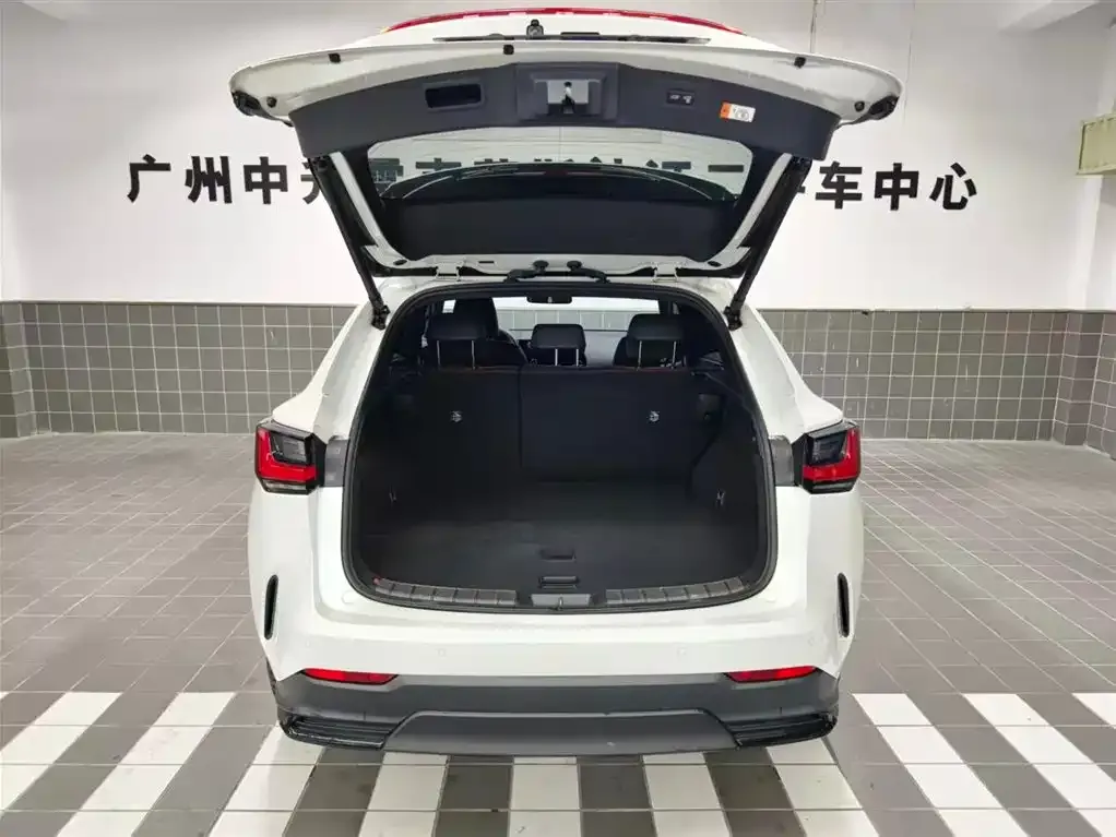 Lexus NX 2023 из CN, фото 4