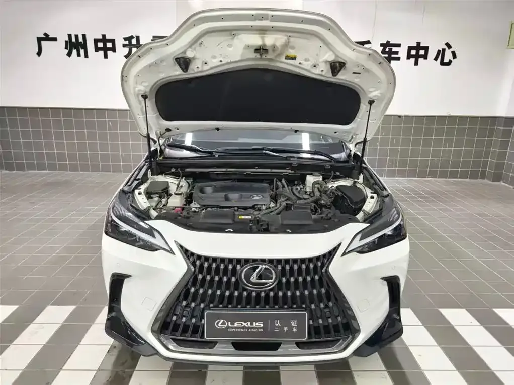 Lexus NX 2023 из CN, фото 5