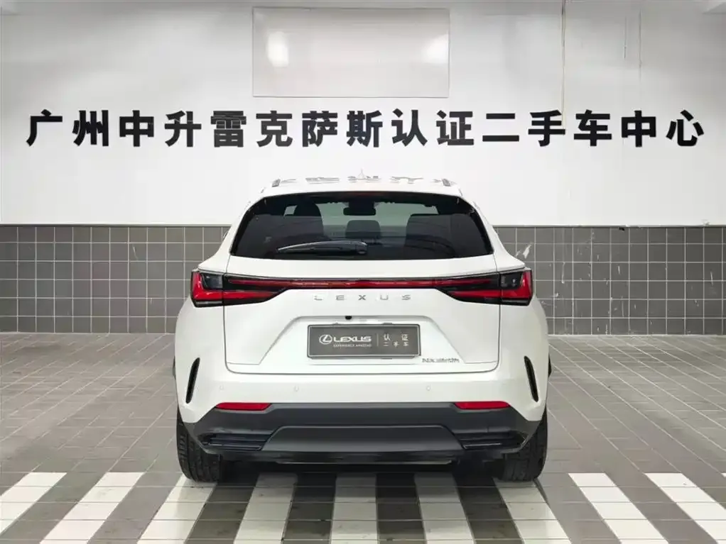 Lexus NX 2023 из CN, фото 6
