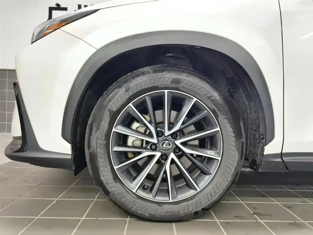 Lexus NX 2023 из CN, фото 7