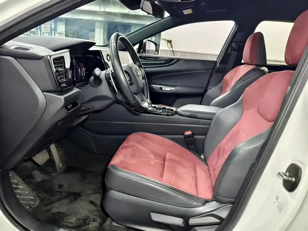 Lexus NX 2023 из CN, фото 8