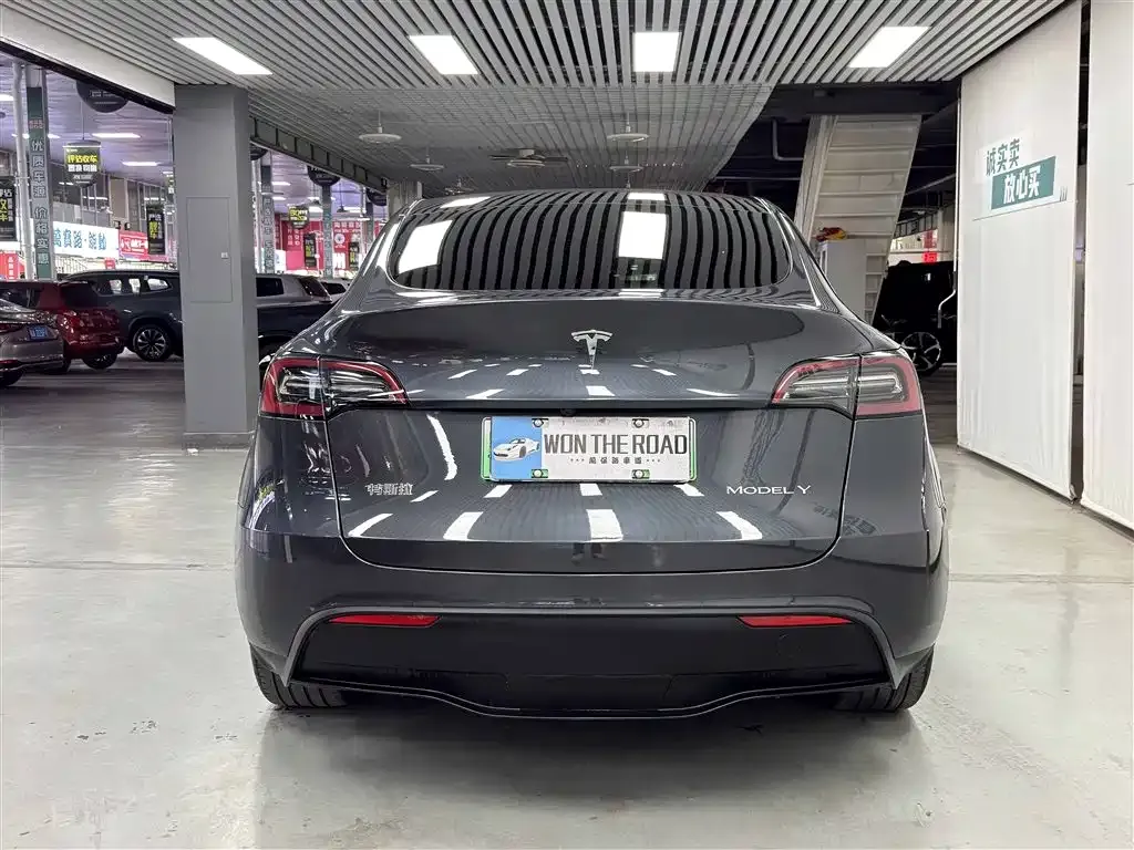 Tesla Model Y 2024 из CN, фото 4
