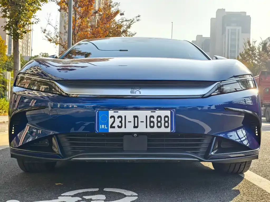 BYD Han 2022 из CN, фото 2