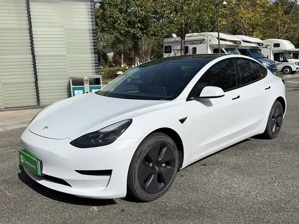 Tesla Model 3 2021 из CN, фото 1