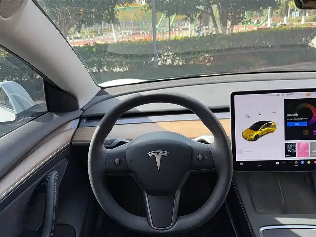 Tesla Model 3 2021 из CN, фото 3