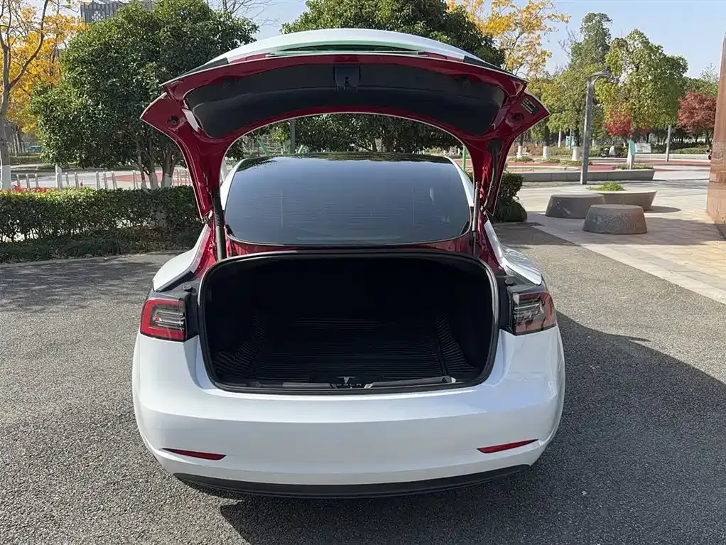 Tesla Model 3 2021 из CN, фото 9