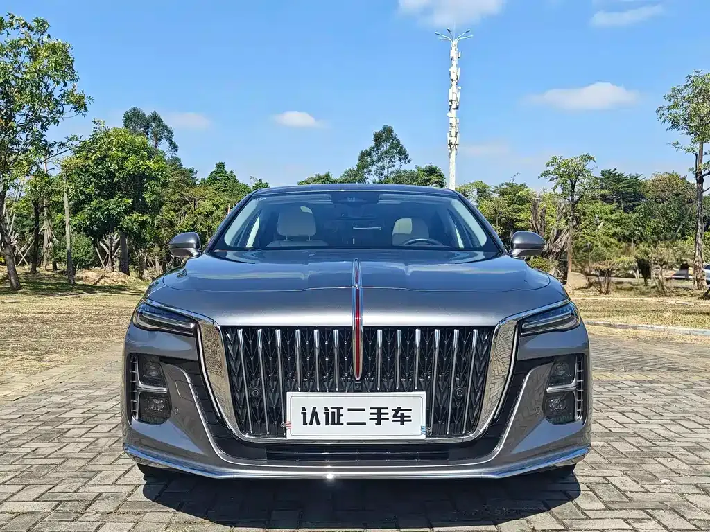 Hongqi H5 2022 из CN, фото 2