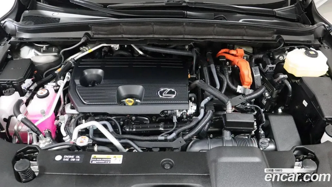 Lexus RX 2024 из KR, фото 6