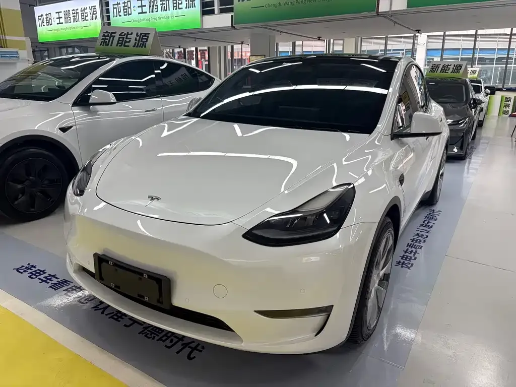Tesla Model Y 2021 из CN, фото 1