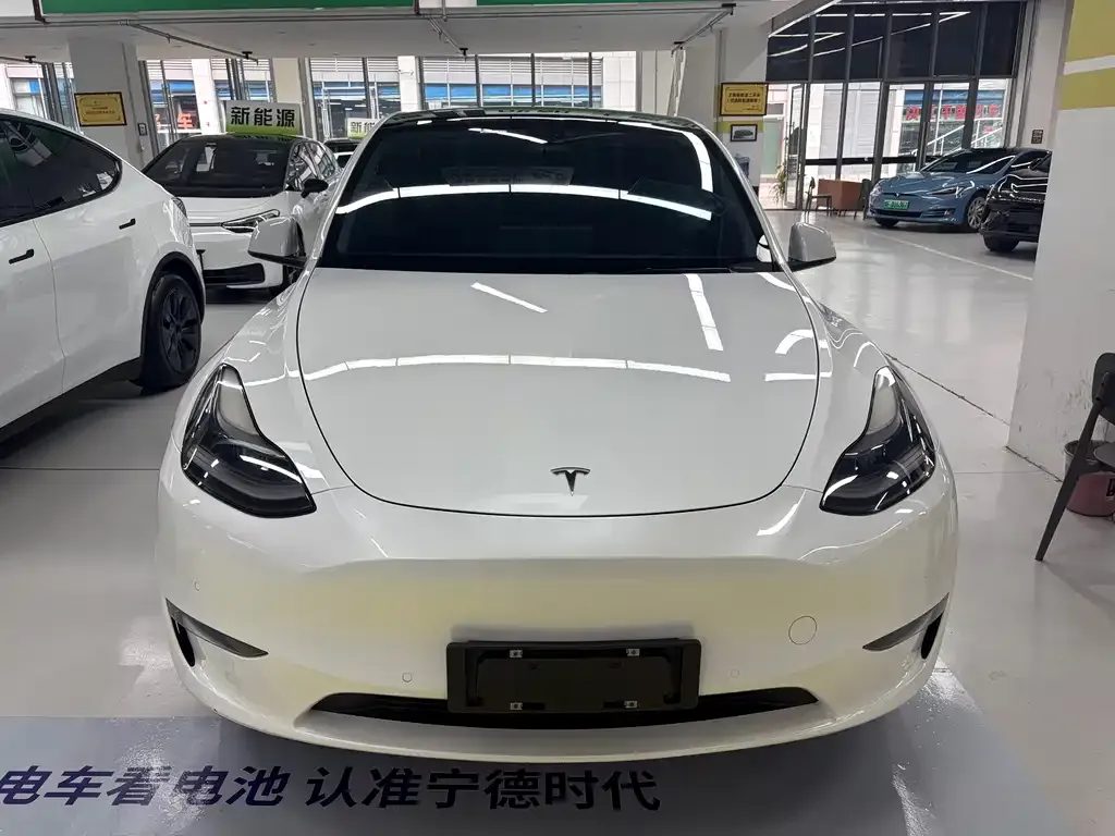 Tesla Model Y 2021 из CN, фото 2