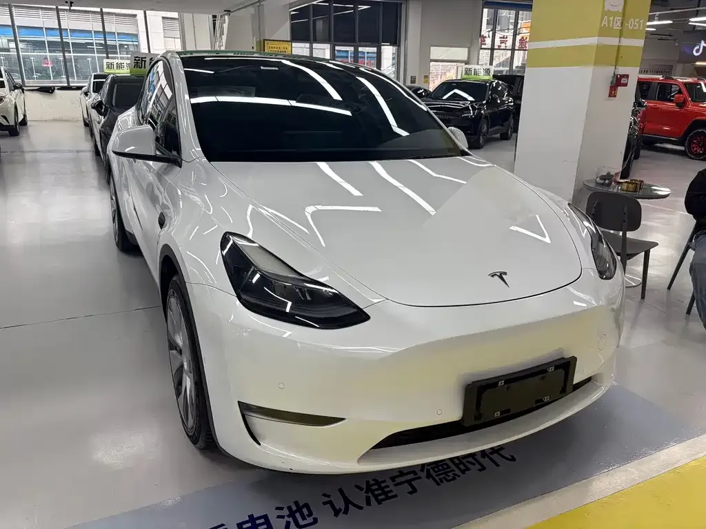 Tesla Model Y 2021 из CN, фото 3