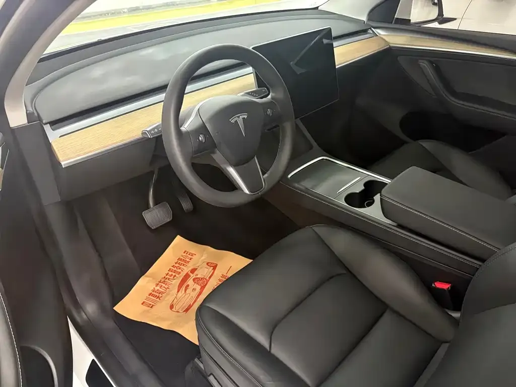 Tesla Model Y 2021 из CN, фото 4