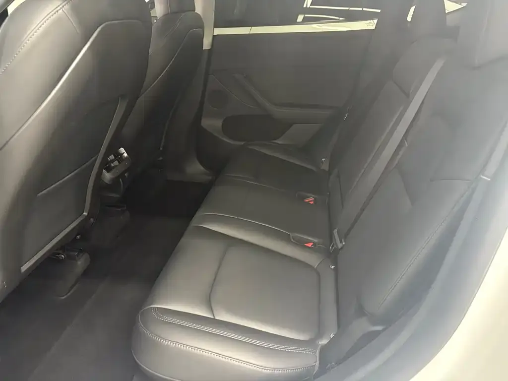 Tesla Model Y 2021 из CN, фото 6