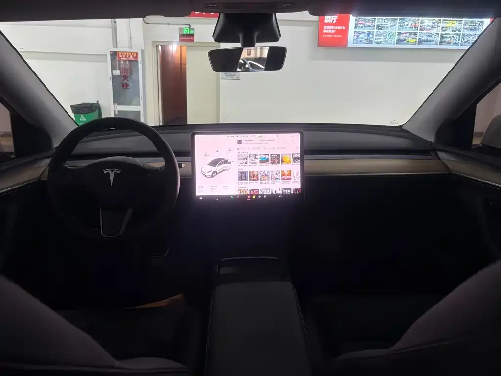 Tesla Model Y 2021 из CN, фото 7