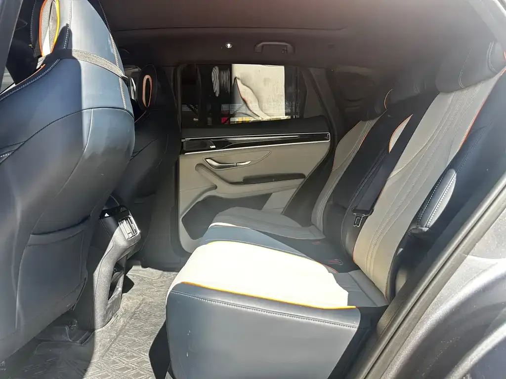 BYD PLUS New Energy 2022 из CN, фото 10