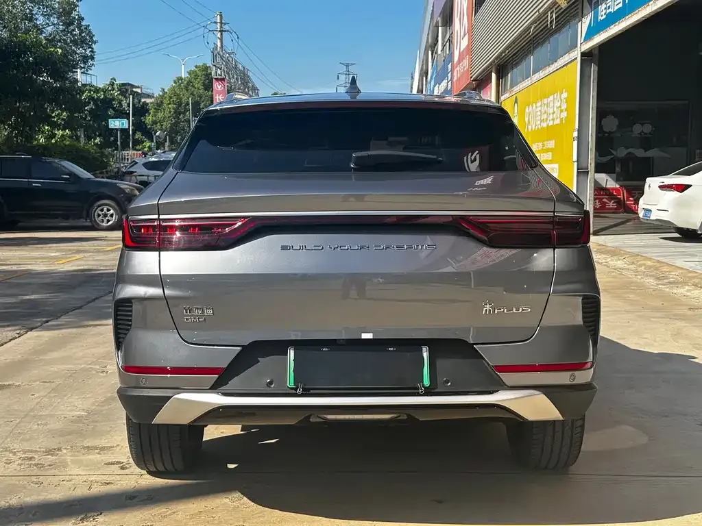 BYD PLUS New Energy 2022 из CN, фото 6