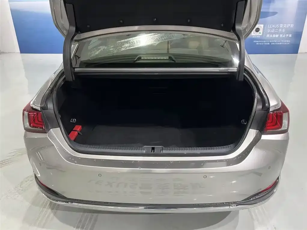 Lexus ES 2024 из CN, фото 9