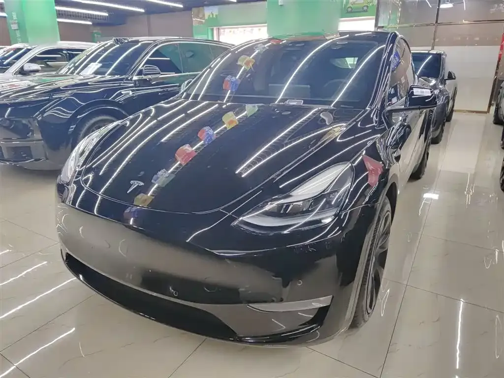 Tesla Model Y 2021 из CN, фото 1