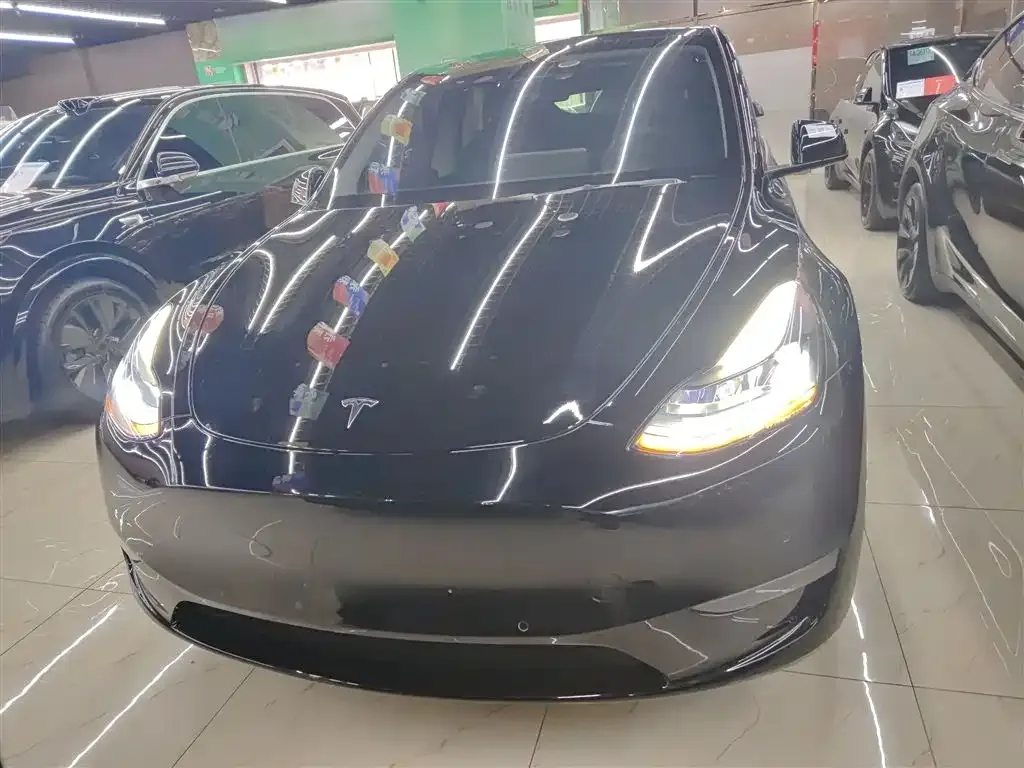 Tesla Model Y 2021 из CN, фото 3