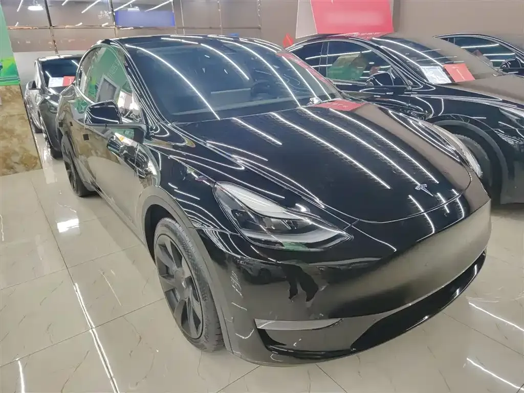 Tesla Model Y 2021 из CN, фото 4