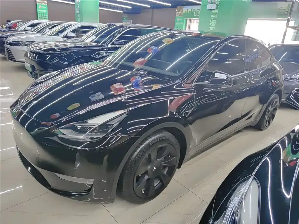 Tesla Model Y 2021 из CN, фото 5