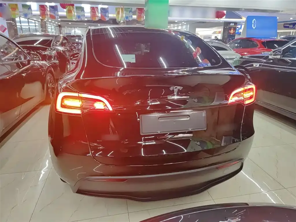 Tesla Model Y 2021 из CN, фото 6