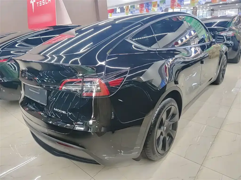 Tesla Model Y 2021 из CN, фото 7