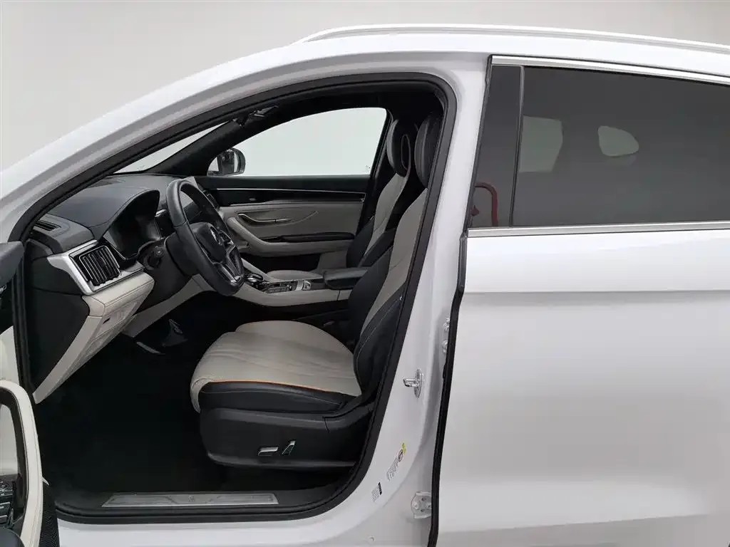 BYD PLUS New Energy — фото 10
