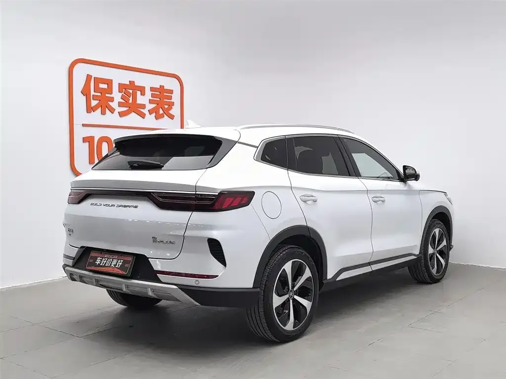 BYD PLUS New Energy — фото 2