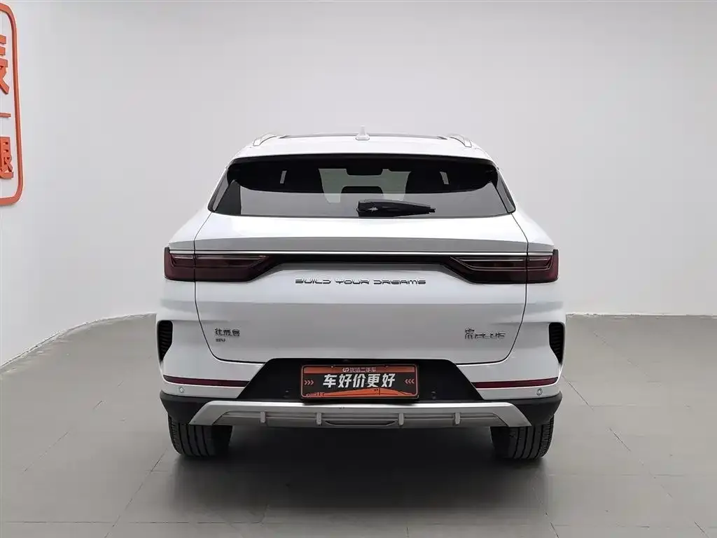 BYD PLUS New Energy — фото 4