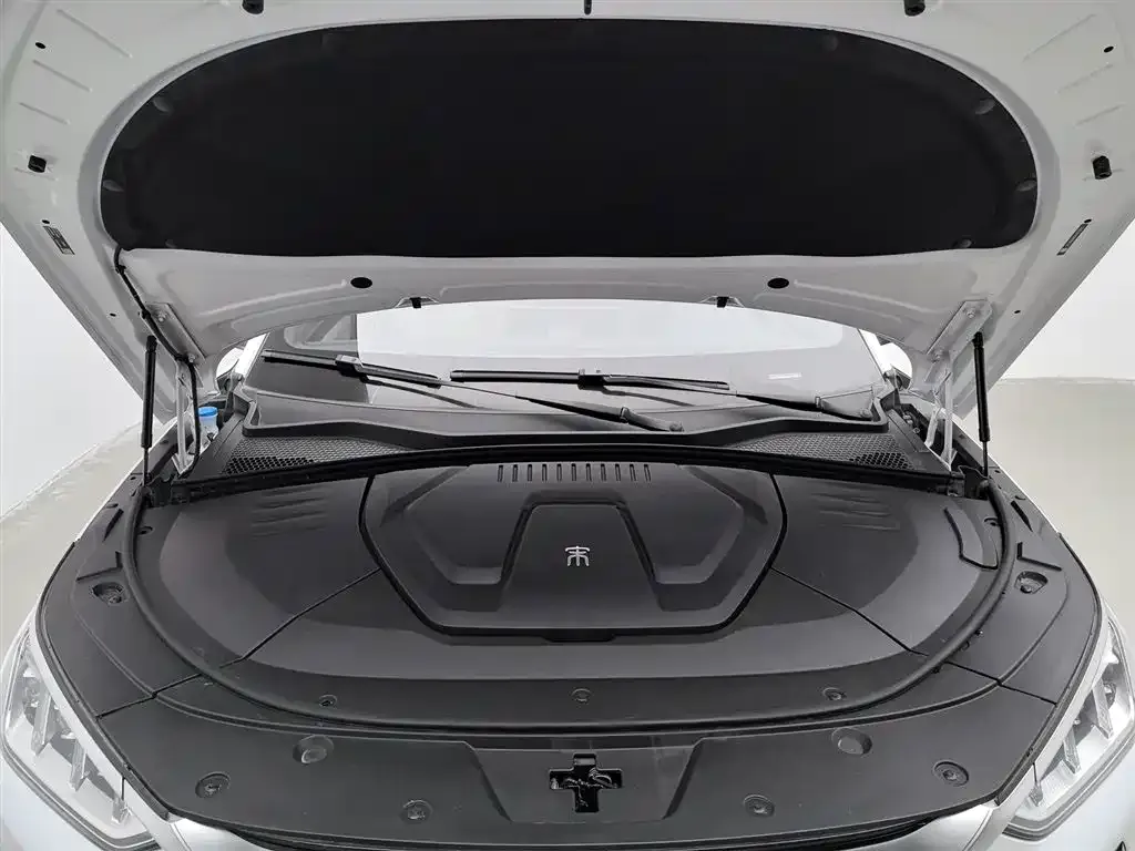 BYD PLUS New Energy — фото 6