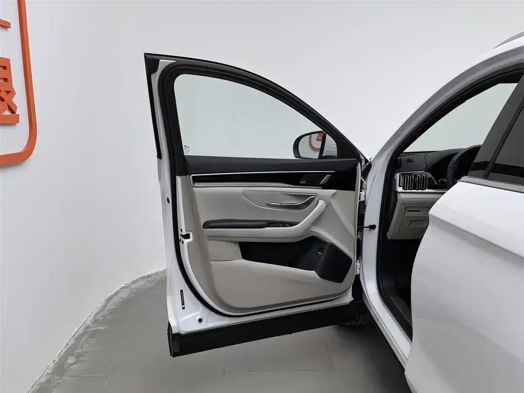 BYD PLUS New Energy — фото 8