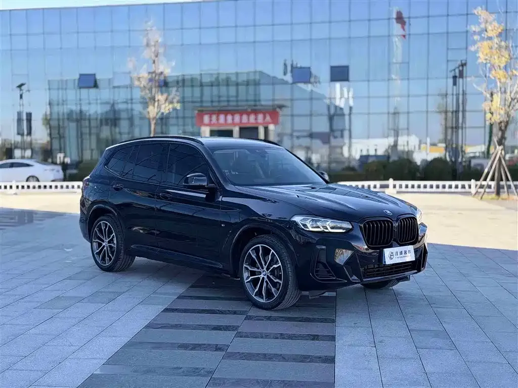 BMW X3 2024 из CN, фото 3