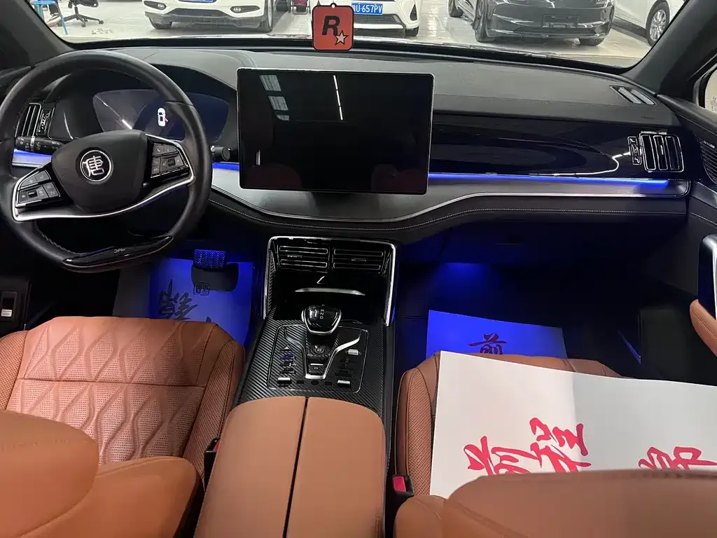 BYD Tang New Energy 2023 из CN, фото 10