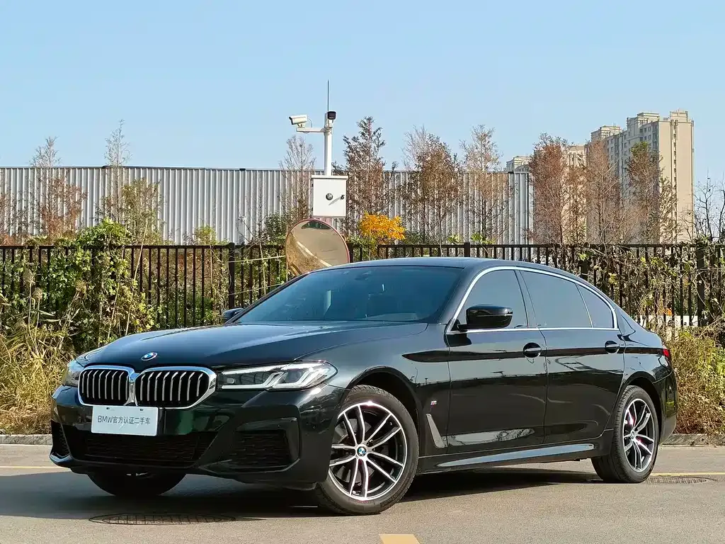 BMW 5 Series 2023 из CN, фото 2