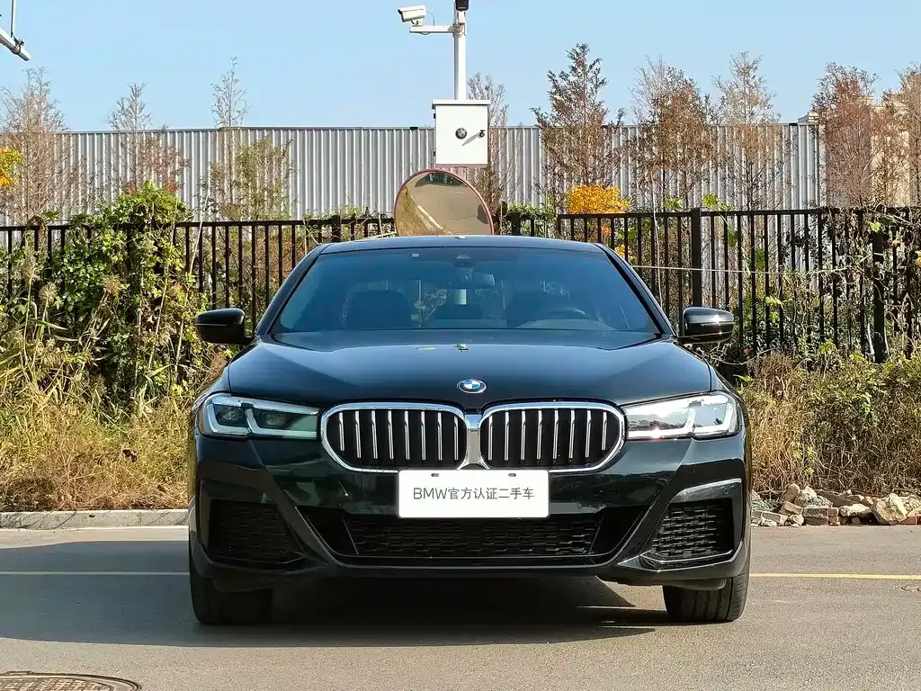 BMW 5 Series 2023 из CN, фото 4