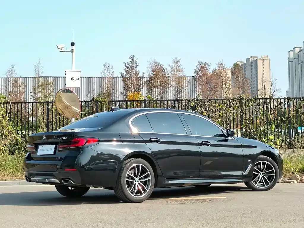 BMW 5 Series 2023 из CN, фото 5